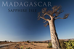 Madagascar: Sapphire Isle